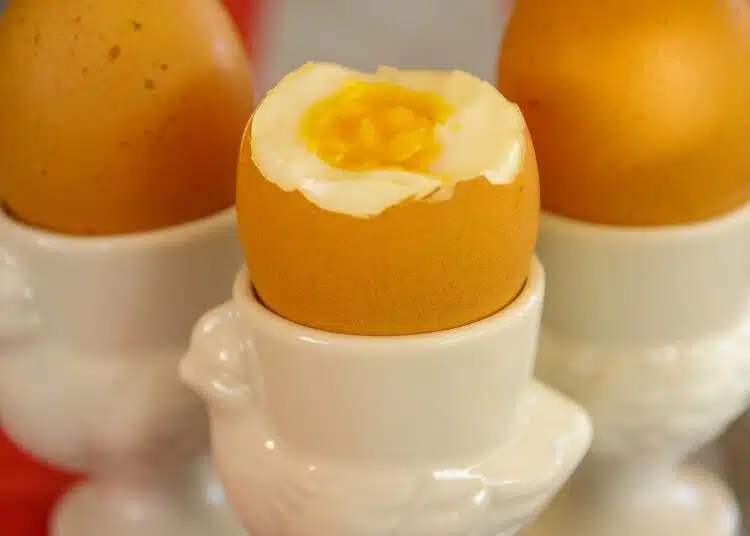 boiled-eggs