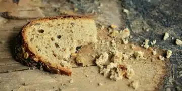 bread