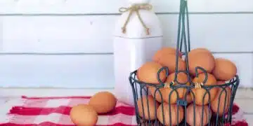 brown-eggs