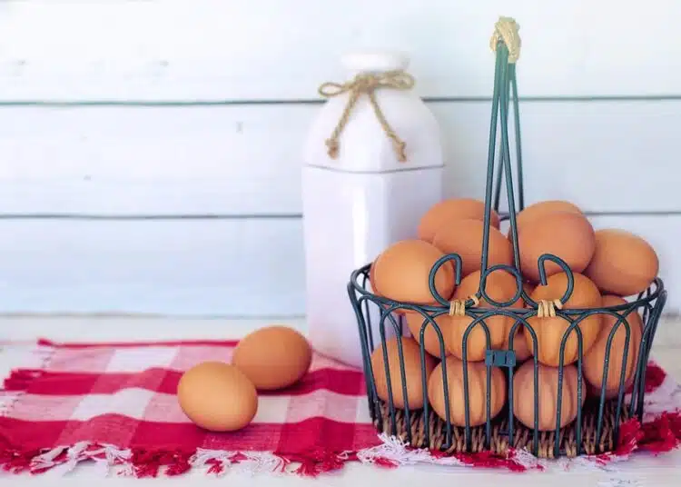 Благодарение на този трик сварените яйца издържат по-дълго 1 brown-eggs