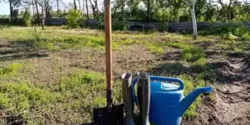 Заровете това в почвата и ще се радвате на обилна реколта 3