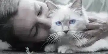 Ето какви рискове крие целуването на котката. Да има такива 4