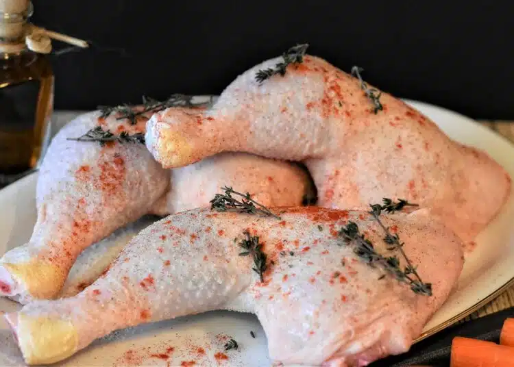chicken