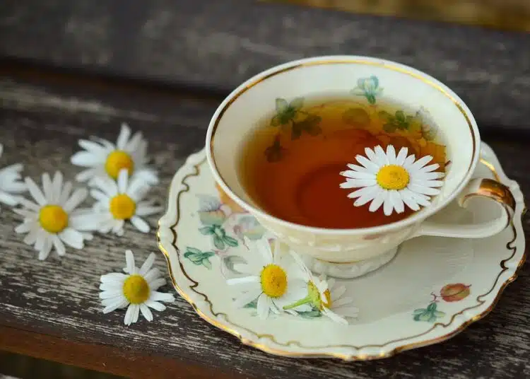 cup