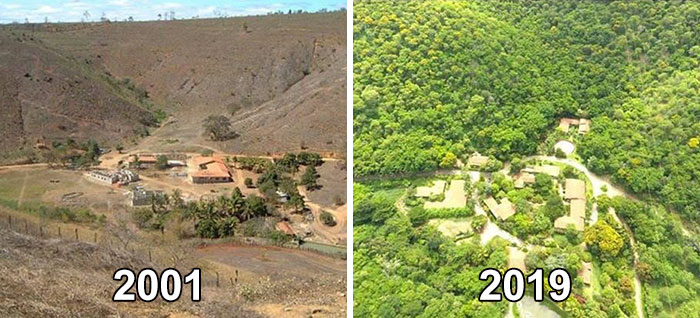Фотограф и жена му засадиха 2 милиона дървета за 20 години, за да възстановят унищожена гора и дори животните се завърнаха 14