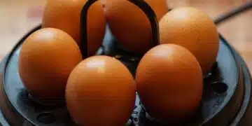 eggs