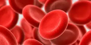 Експерти ни казаха кои храни ще повишат нивата на хемоглобина 2