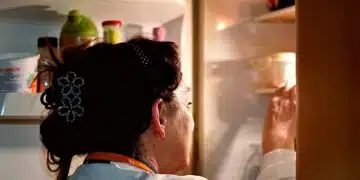 ice-box