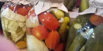 Най-практичното решение за бурканите, ако нямате маза и тераса 12