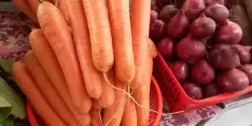 Задължително включете моркови в менюто си – ето ценните ползи 12