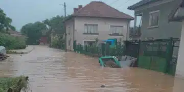 Силни валежи? Ето какво да направиш при наводнение, за да оцелееш 5