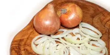onion