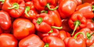Слагам този тор, за да се радвам на обилна реколта от пипер всяка година 1