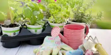 planting