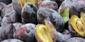 plums