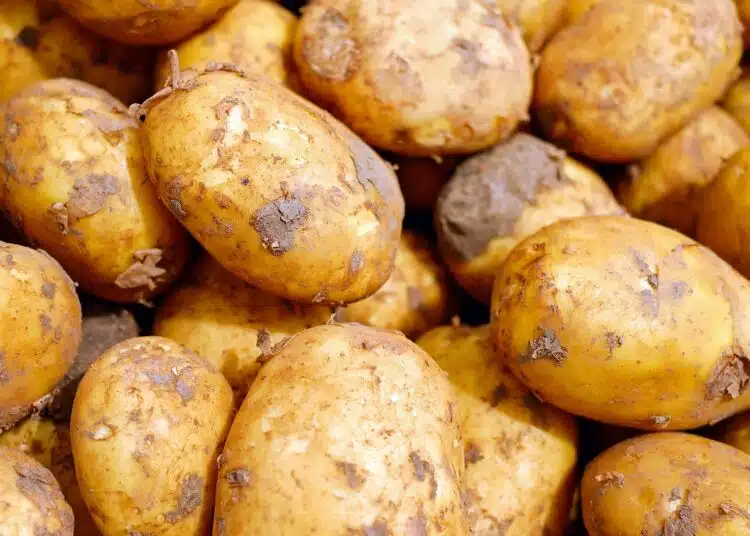 Назоваха храните, които трябва да се заливат с вряща вода 1 potatoes