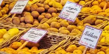 potatoes