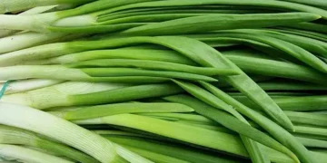 Тези продукти бързо ще възстановят загубените витамини в организма 13