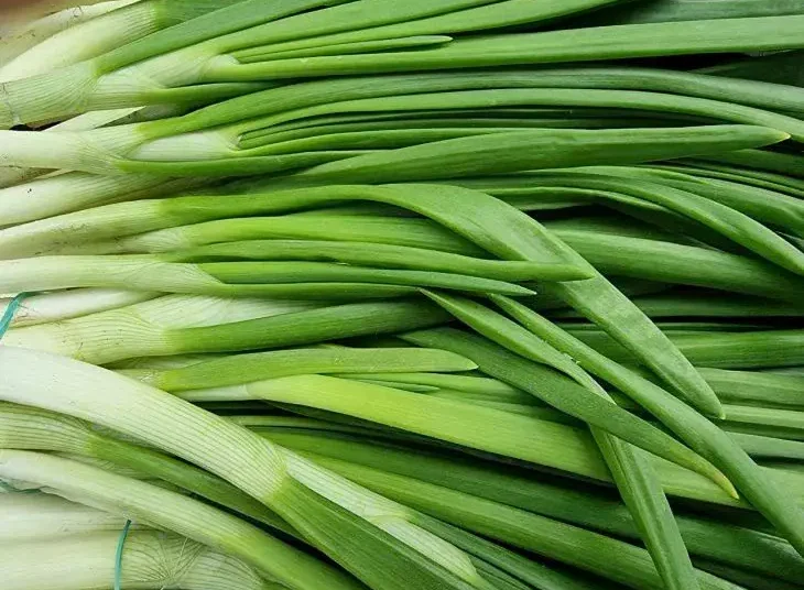 Тези продукти бързо ще възстановят загубените витамини в организма 1