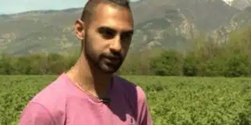 Един от символите на БЪЛГАРИЯ е пред изчезване! Тъжната истина, споделена от производител: Където е имало рози, сега никнат автосалони! 1