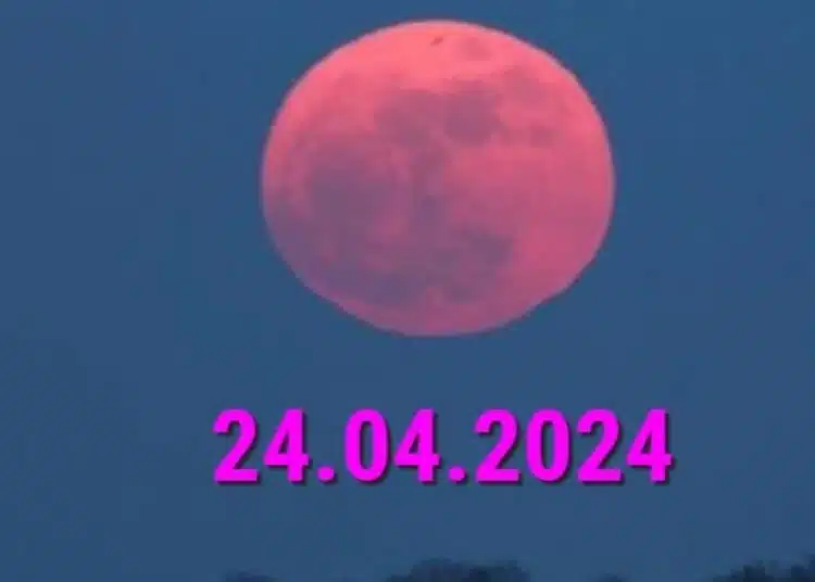 Сдвоена дата 24.04.2024 г.: какво ни носят тройните двойки и четворки на розово пълнолуние 1
