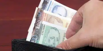 Нов глад за кадри в тази професия! Работодателите търсят под дърво и камък с 5 хил. лв заплата 1