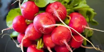 radishes