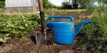 Този евтин продукт ще предпази растенията от всички болести 2