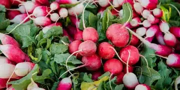 Диетолог каза трябва ли да ядем репички редовно и защо 3