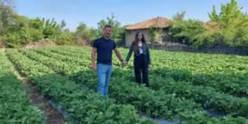 Младо семейство не хареса живота в големия град – осъществи мечта за дом на село и ферма 9