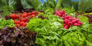 vegetables