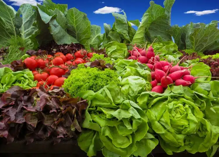 vegetables