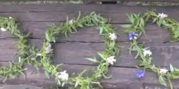 Тази неделя е голям празник! Знаеш ли какво се прави със старата върбова клонка на Цветница? 4