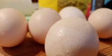 Бели или кафяви яйца да купувате? Ето как да изберете в магазина 5