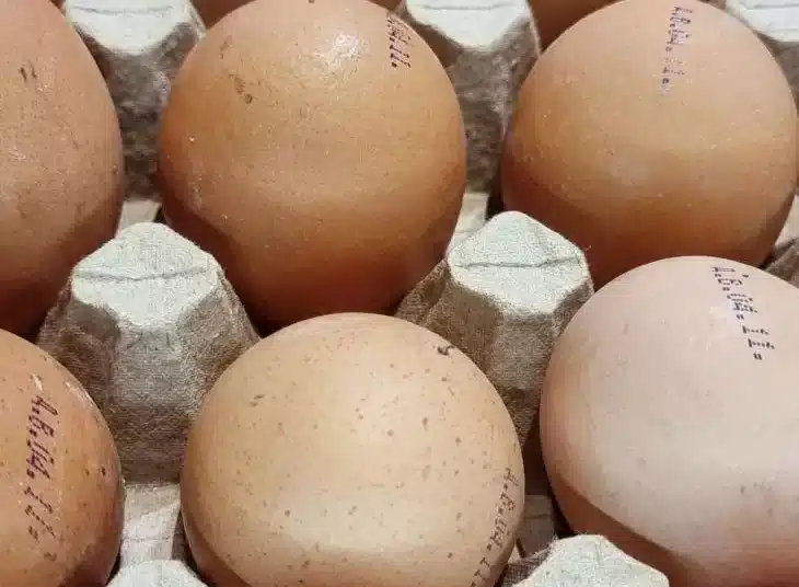 Полезно ли е всеки ден всеки ден да се ядат яйца 1