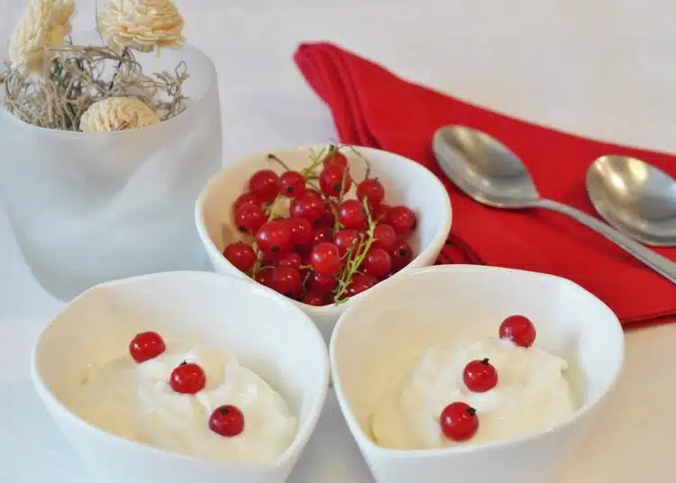 yogurt