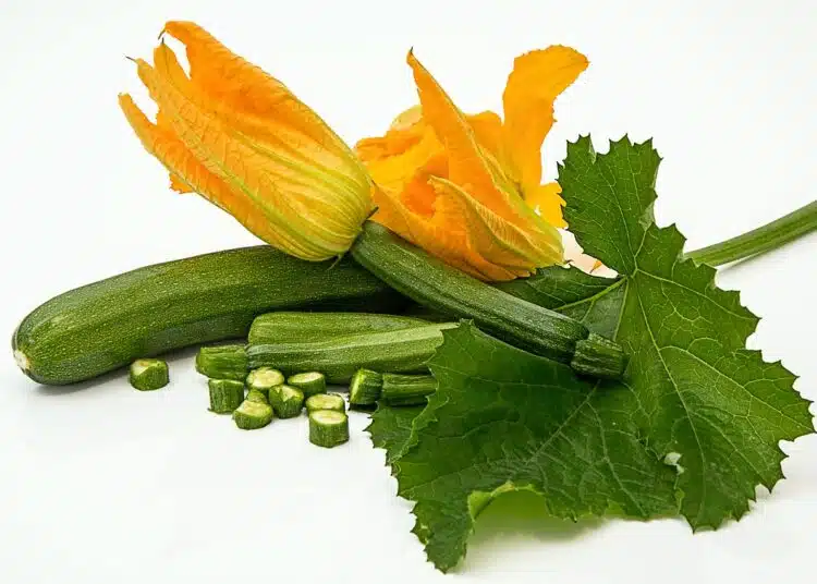 zucchini