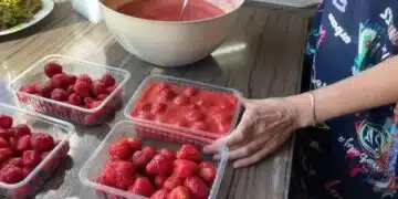 Ягоди през зимата, точно като от лехата! Ароматно приготвяне без варене 15