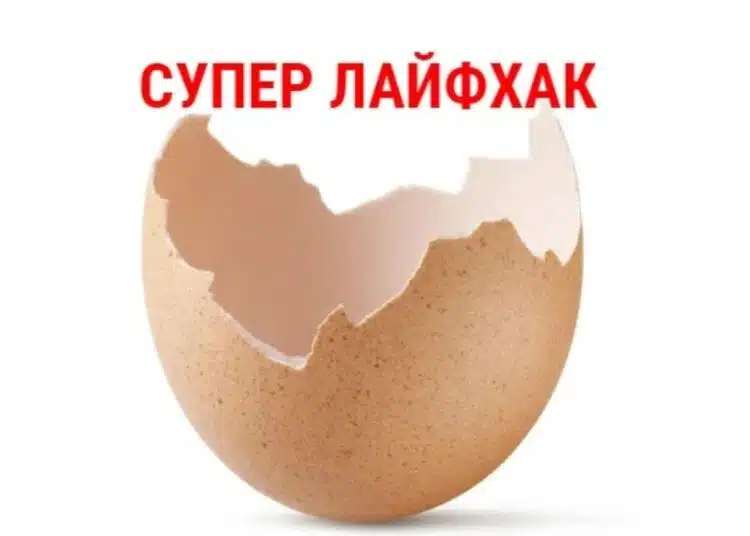 Не изхвърляйте черупки от яйца! Ако ги замразите, можете да решите важен проблем! 1