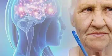 Учените идентифицираха диета, която забавя стареенето на мозъка 9