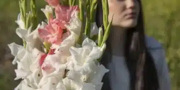 Лунен календар: кога е най-доброто време за засаждане на гладиоли през 2024 година, за да имат богат цъфтеж 1