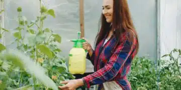 Как да предпазите растения по време на студени дни – 3 полезни съвета 9