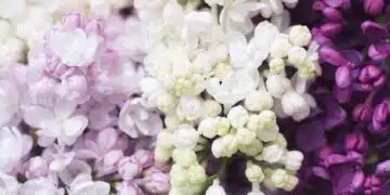 Хороскоп за 8 май за всички зодии: ден, през който настроението ще се промени драстично 3