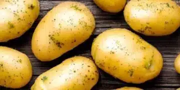 Как да подхраните картофи, така че клубените да са големи и вкусни: има няколко варианта 6