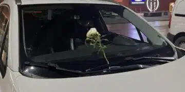 Лесен за поддръжка и безопасен на пътя: 3 най-практични цвята за автомобила 4