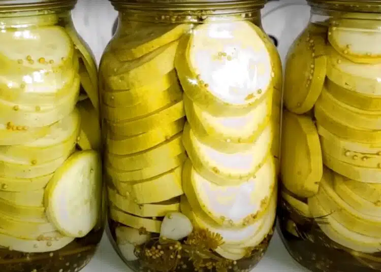 Най-вкусните мариновани тиквички: Не оцеляват до зимата - сладко, солено, хрупкаво 1