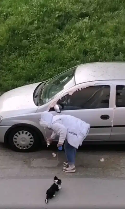 Софиянец засне как съседка му запечатва колата с монтажна пяна! Запечатаха му и вратата! 1