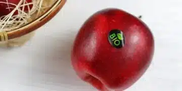 6 факта, които ще ви изненадат: звучат невероятно, но са истина 5