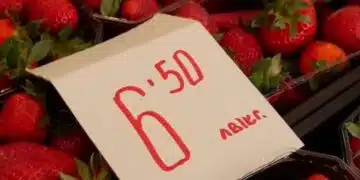 Похапваме гръцка ягода, която ни представят за българска, търговци с хитър трик... 2
