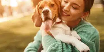 3 прости варианта, с които ще спрете кучето да дъвче всичко в дома 3